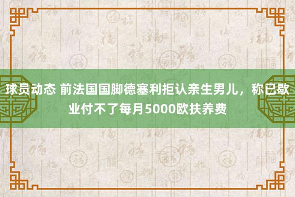 球员动态 前法国国脚德塞利拒认亲生男儿，称已歇业付不了每月5000欧扶养费