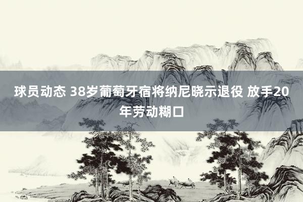 球员动态 38岁葡萄牙宿将纳尼晓示退役 放手20年劳动糊口