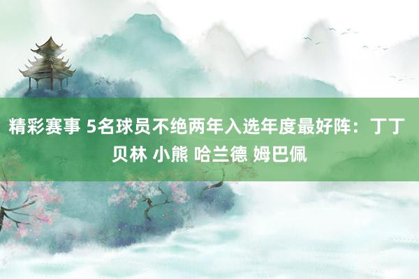 精彩赛事 5名球员不绝两年入选年度最好阵：丁丁 贝林 小熊 哈兰德 姆巴佩